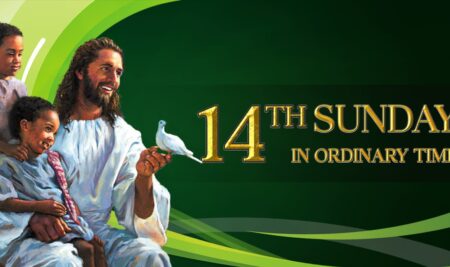Homily for 14th Sunday of Ordinary Time, Year A (Your Rest Downloader)